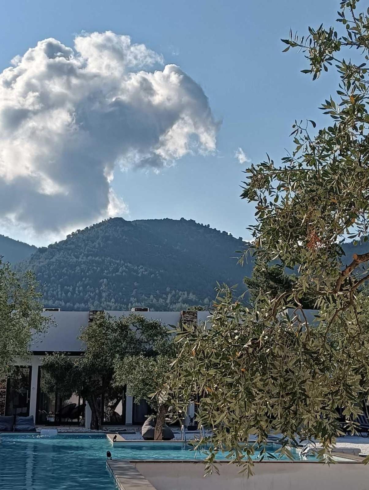 The Olive Hills Hotell Skala Rachoni  Eksteriør bilde